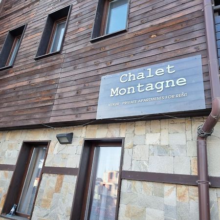 Chalet Montagne Bansko Apartment Kültér fotó